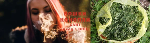 дживик Богородск