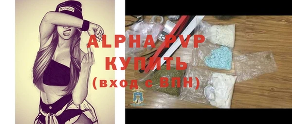 дживик Богородск