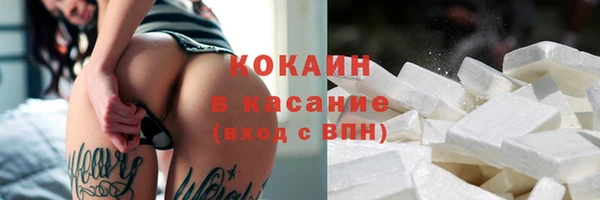 дживик Богородск