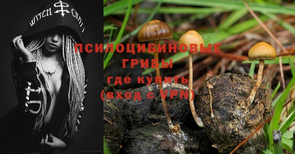 a pvp Богородицк