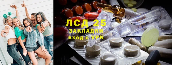 прущий лед Бородино